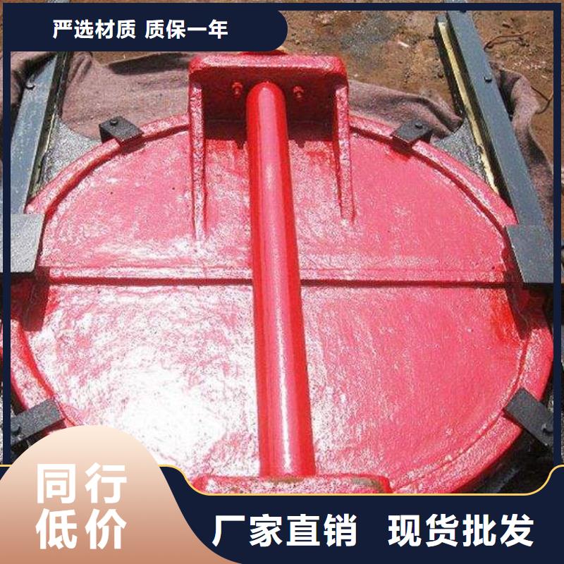 会宁县高压潜没式铸铁闸门用心做产品