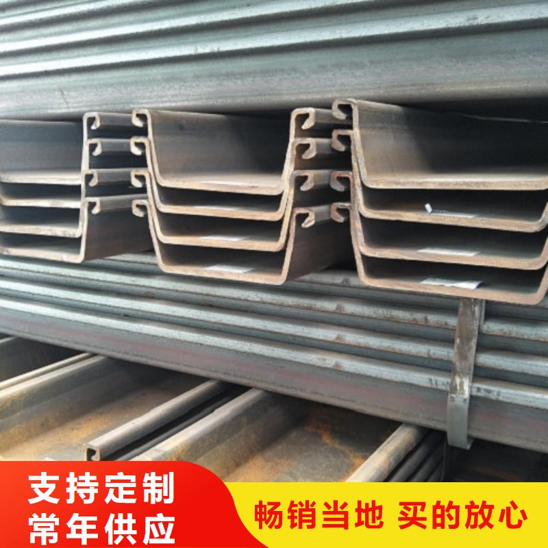 WRX 600-10钢板桩荆州产品多样