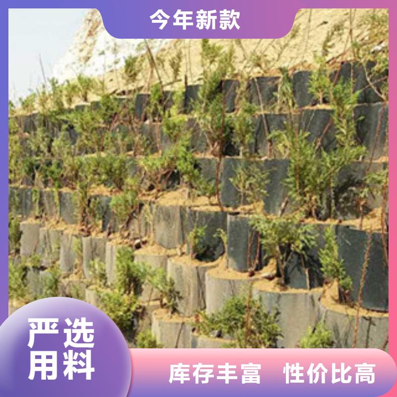 襄樊蜂巢约束系统格室高度100mm固土绿化附近生产商