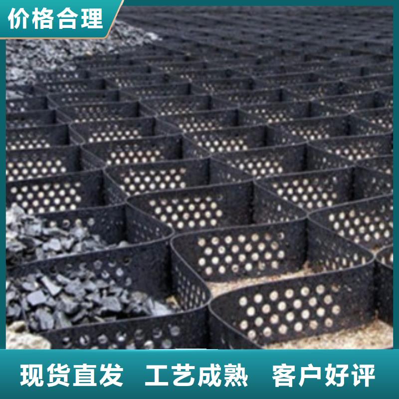 惠州高分子土工格室焊距 600mm源头厂家