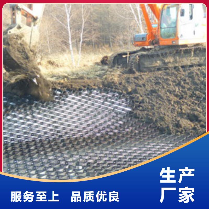 庆阳HDPE土工格室焊距 445mm源头厂家
