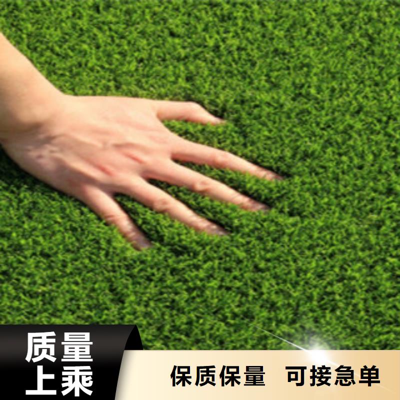 邯郸市大名认准舒展体育人造草坪场地