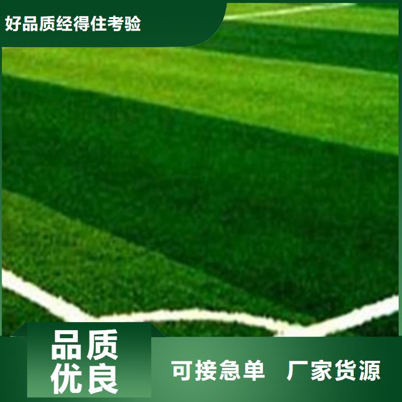 杭州市建德预算报价工地人造草坪
