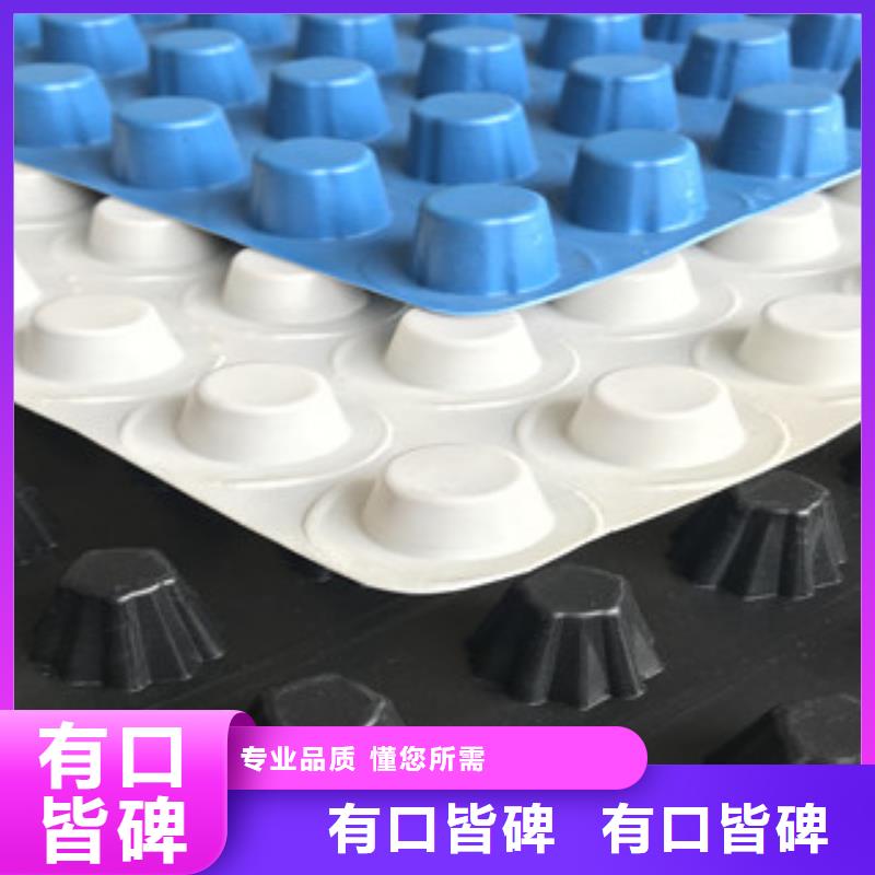 陕西塑料排水板规格型号有哪些？