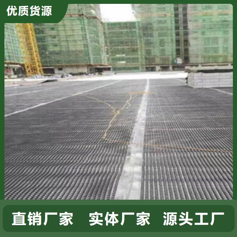 山东省聊城东昌府地下室底板排水板产品有哪些？