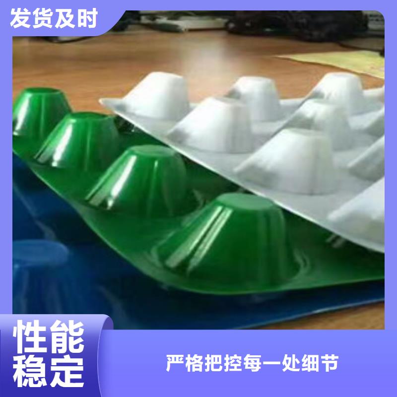 贵州省黔西南册亨塑料排水板厂家报价