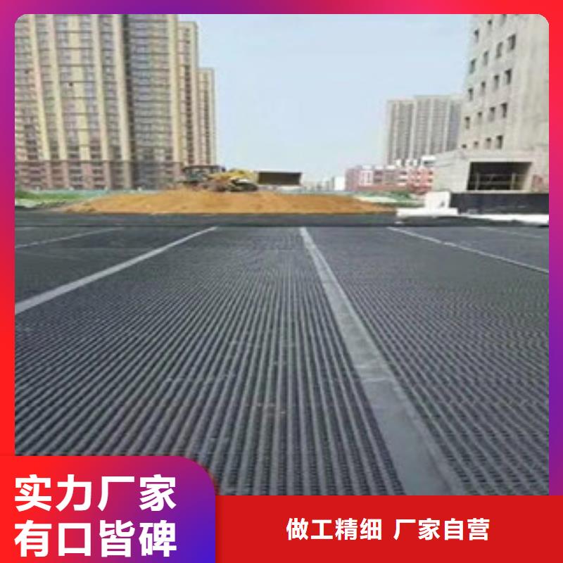 河南省洛阳市地下室顶板20厚排水板工厂批发价格
