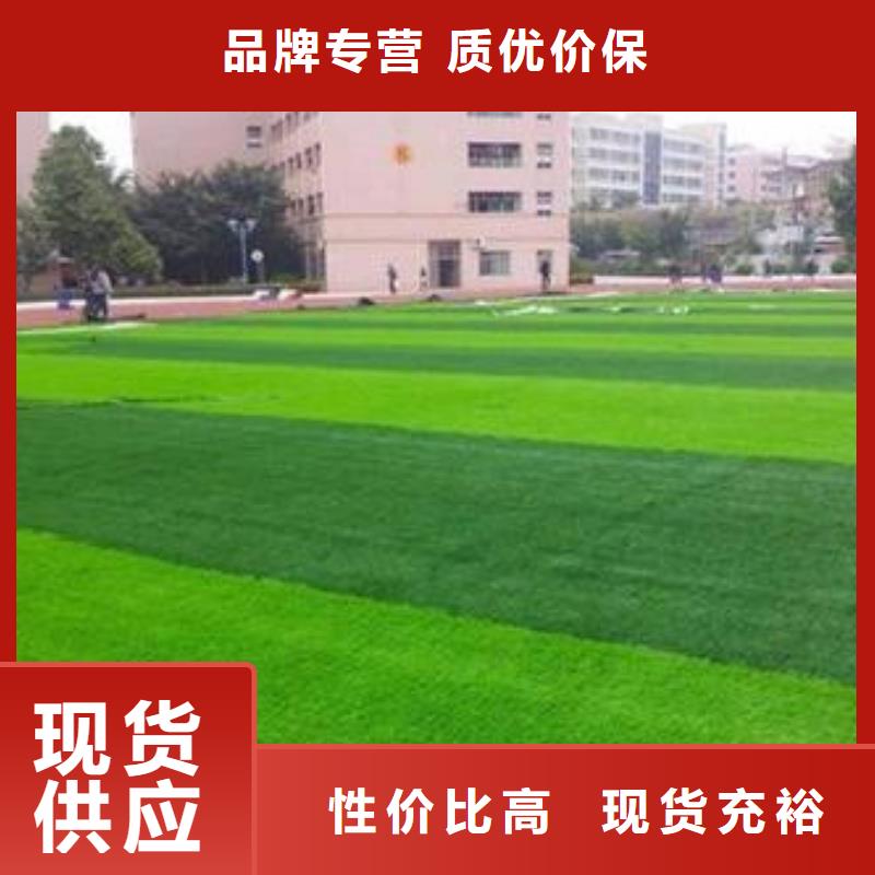 新疆硅pu球场  人造草坪