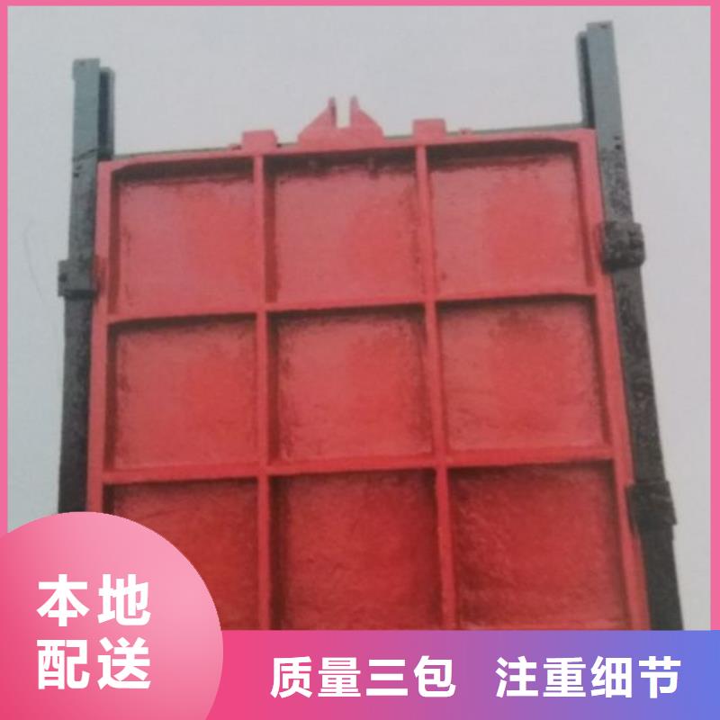 漳州钢制拍门生产商