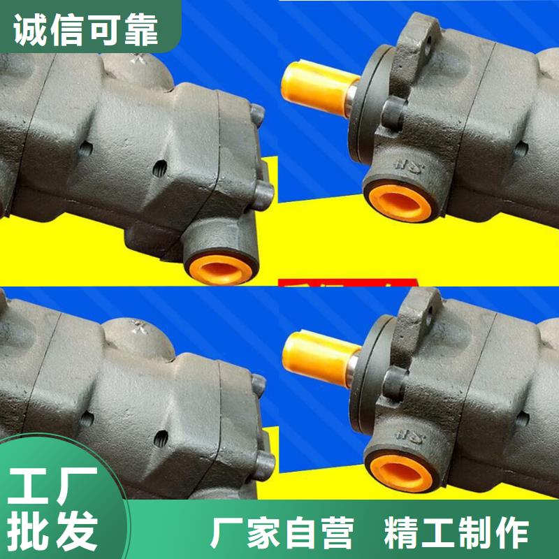 蘇州PV4-153定量葉片泵