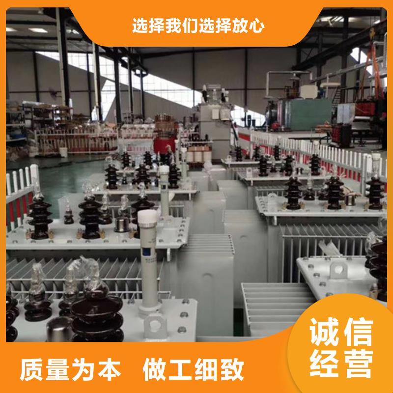 上海10KVAS11油浸式电力变压器专业生产厂家
