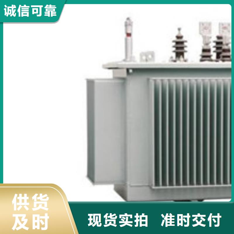 上海125KVAS11油浸式电力变压器合作案例多