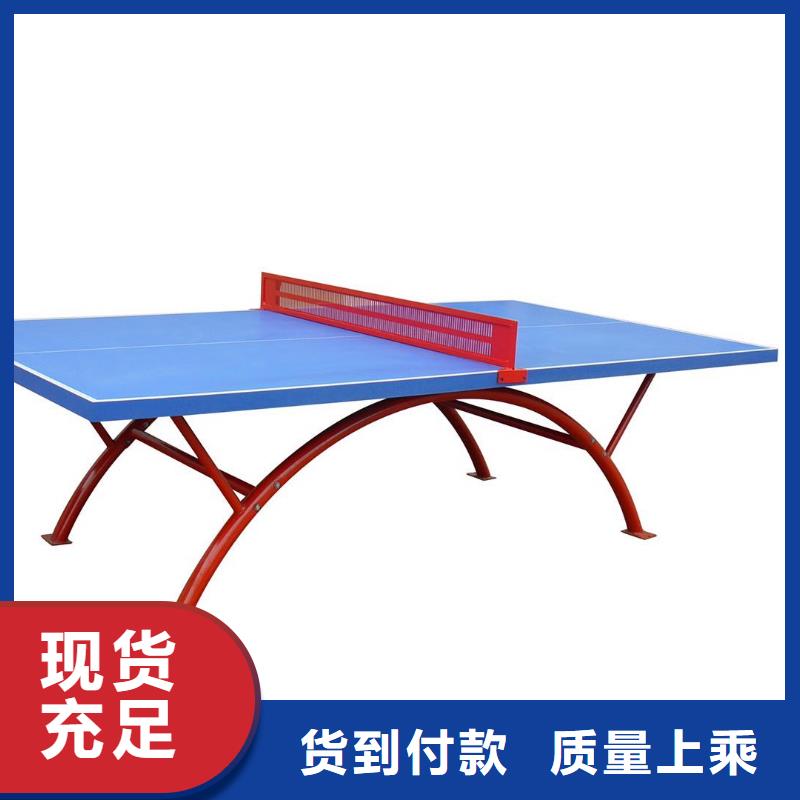 乒乓球桌专业生产厂家附近货源