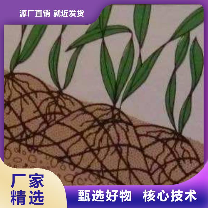 淮安三维绿化网垫（亿路通新材料）专业厂家
