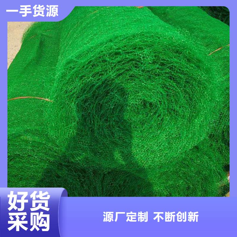 宿州三维绿化网垫（亿路通新材料）专业厂家