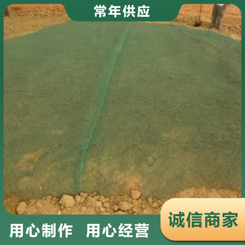 郴州三维绿化网垫（亿路通新材料）专业厂家