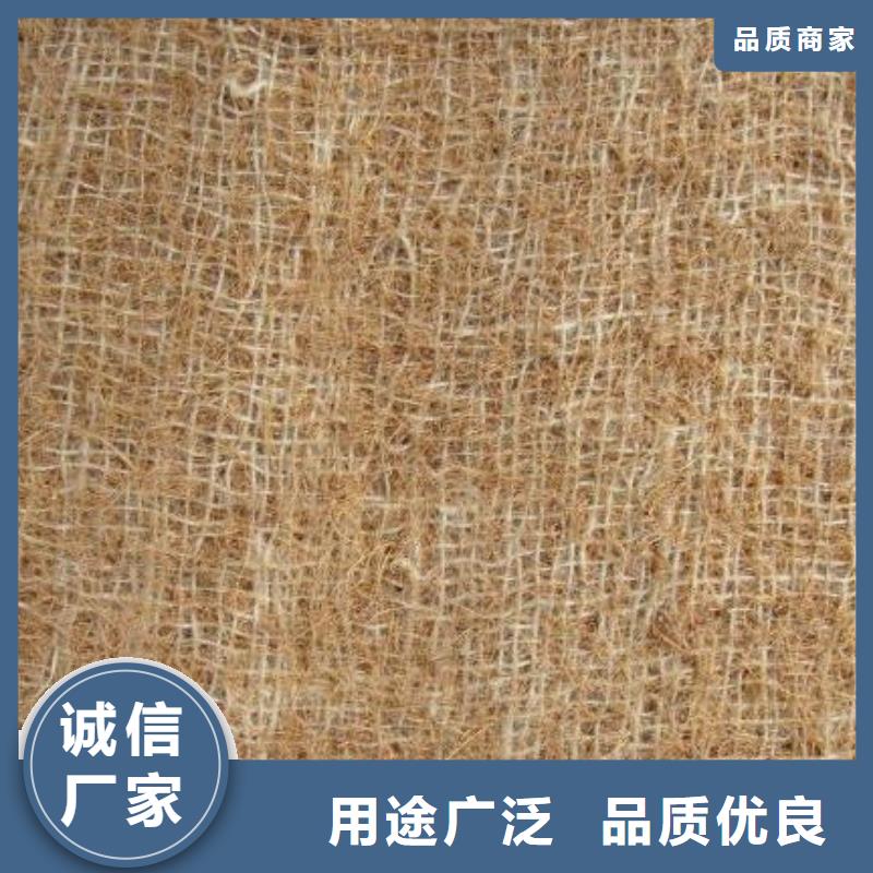 铜川麻椰固土毯批量生产