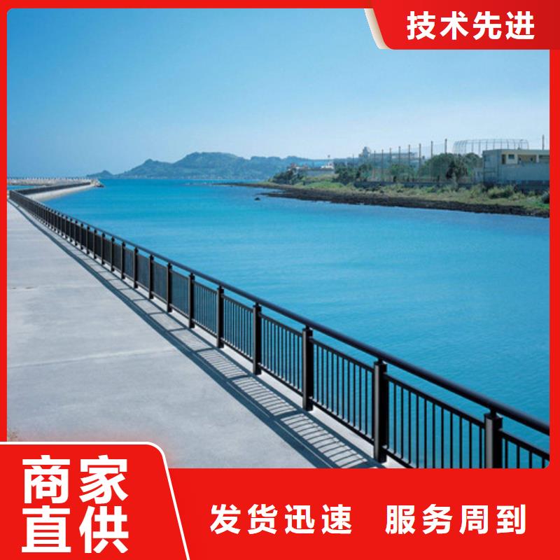 温州桥梁碳素钢喷涂护栏专业设计