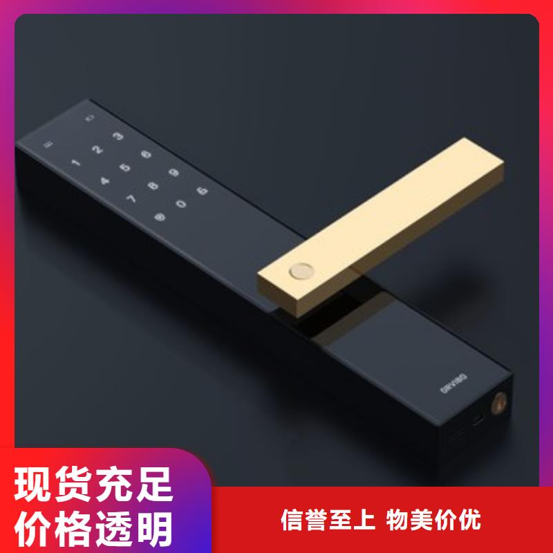 灵宝别墅门智能锁批发安装