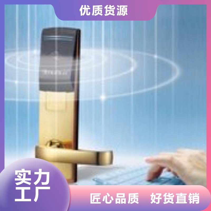 灵宝别墅门智能锁批发安装