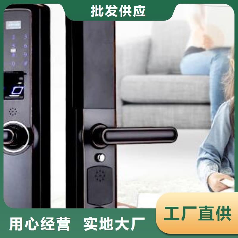 灵宝别墅门智能锁批发安装