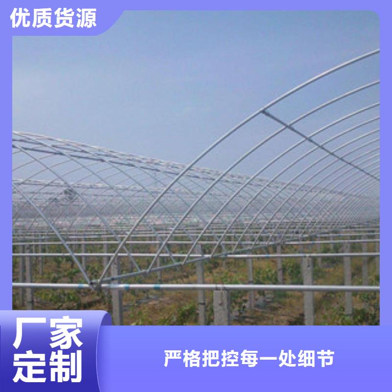 凤庆县带立柱葡萄大棚大棚管折弯生态园厂家_泽沃特钢有限公司