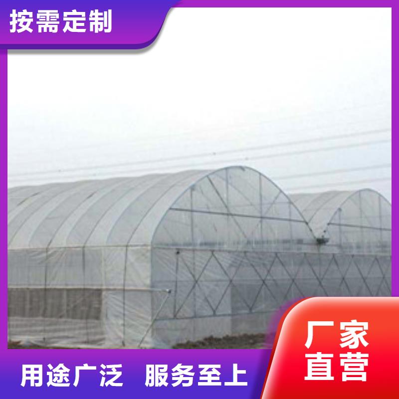 【泽沃】湖南省永兴县草莓薄膜连栋温室大棚价格
