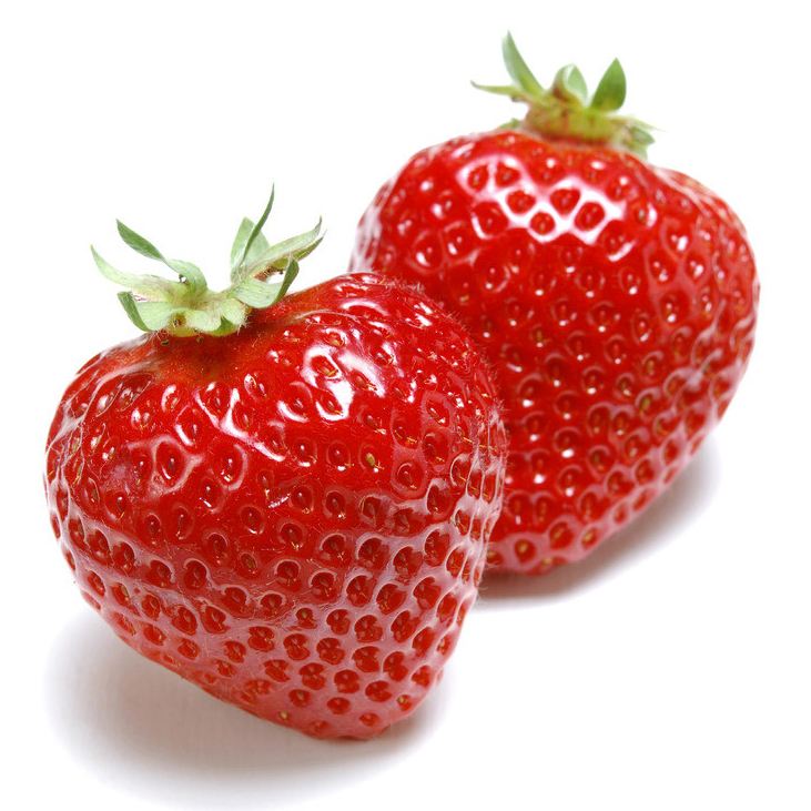 草莓特价销售一站式厂家