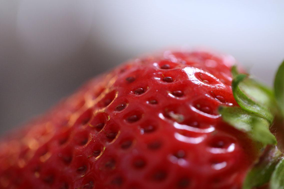 草莓可按需定做源头工厂量大优惠