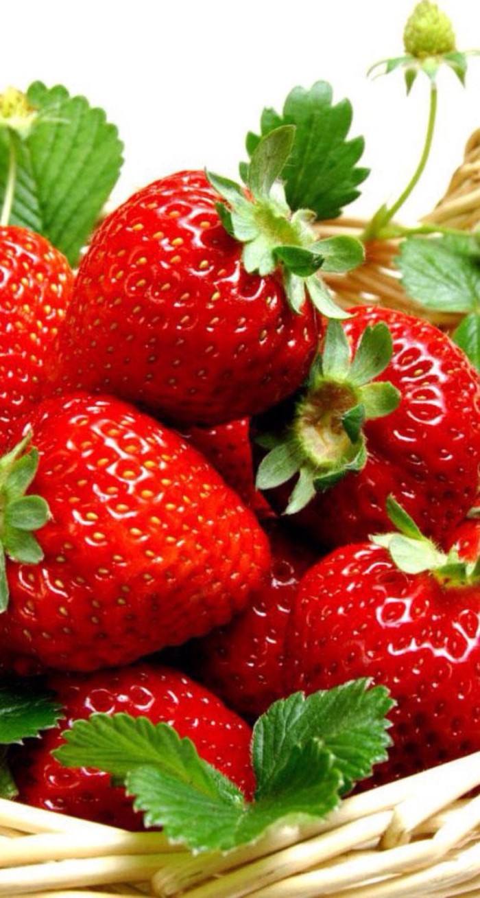 草莓-草莓可信赖有实力有经验
