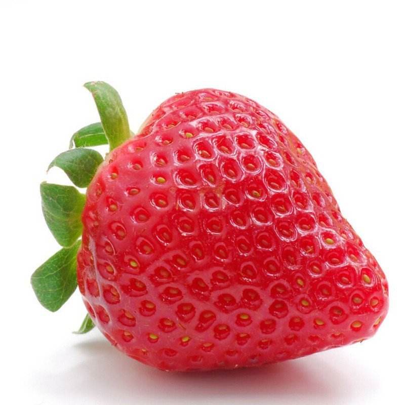 草莓生产厂家-批发当地服务商