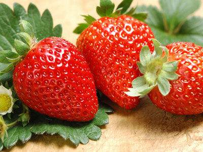 草莓制造商全新升级品质保障