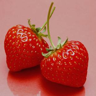 草莓价格实在厂家质量过硬