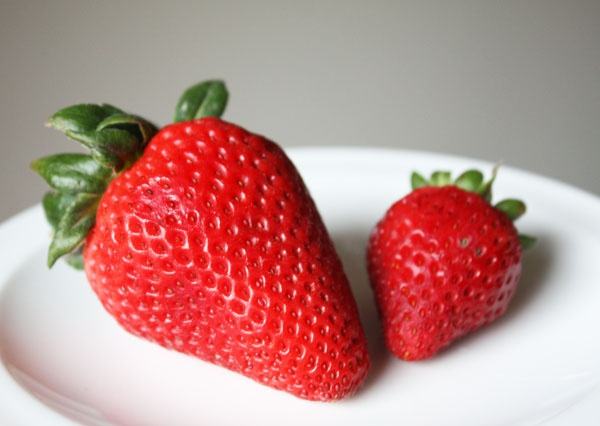 草莓-草莓厂家直销品质无所畏惧