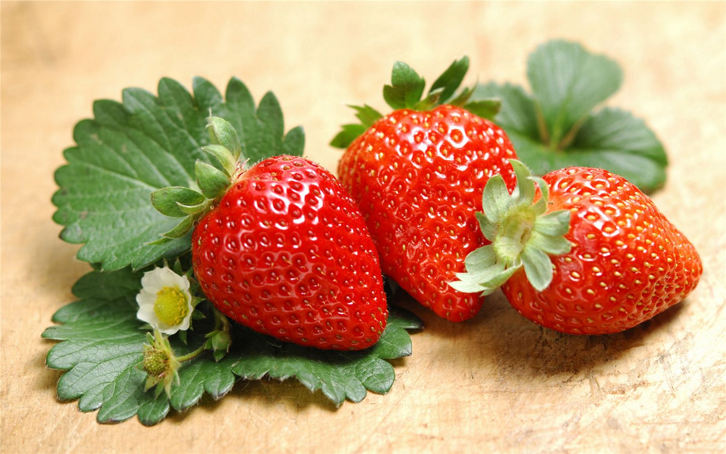草莓生产厂家-价格实惠品质信得过