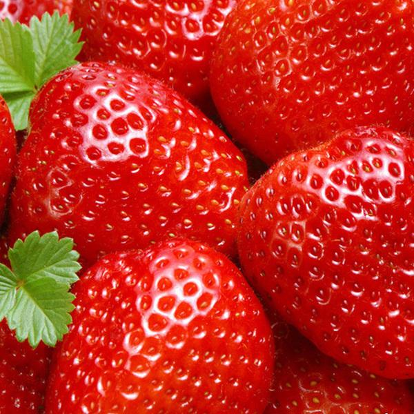 草莓、草莓厂家-找宿迁华尔网络科技有限公司同城服务商