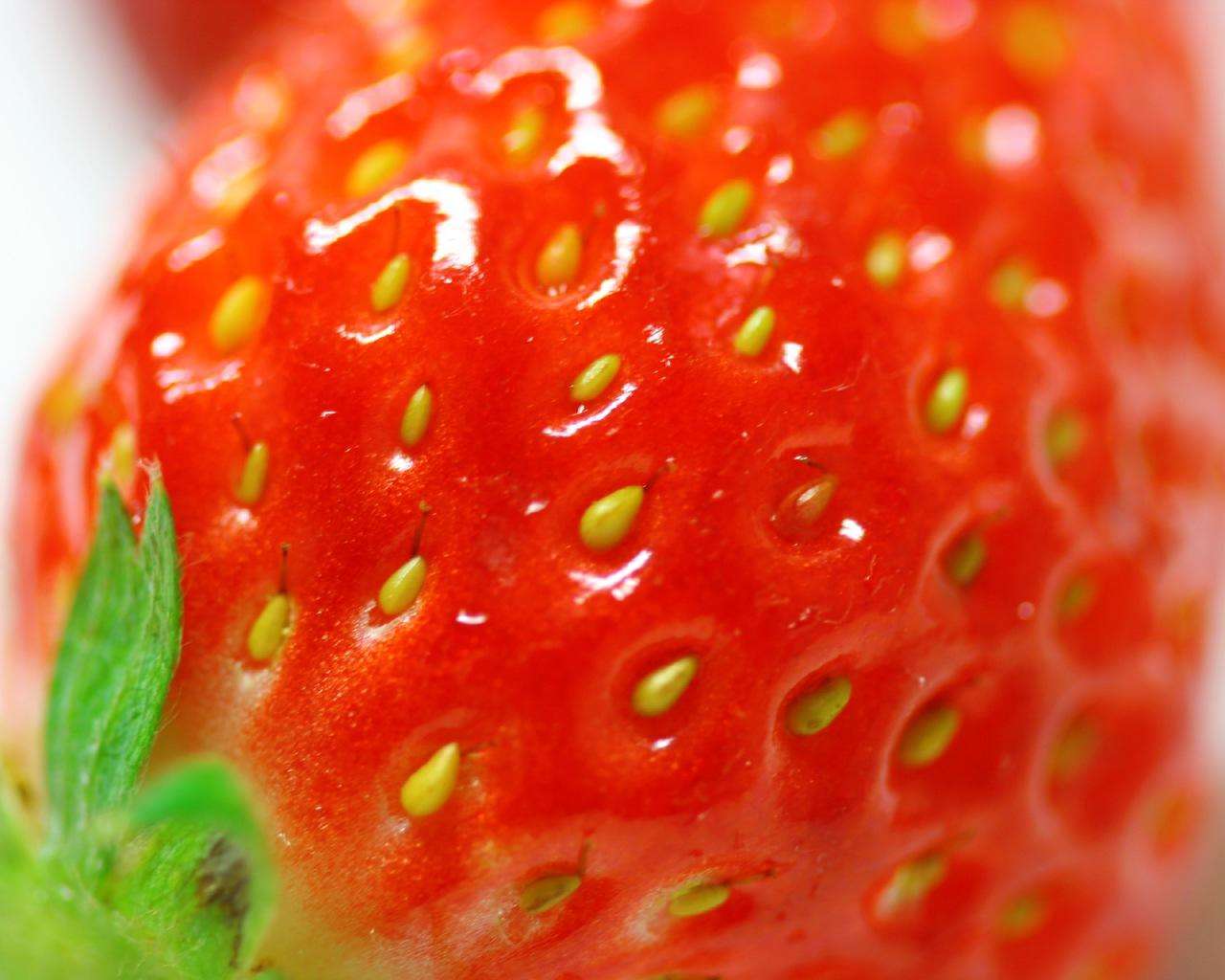 价格合理的草莓供应商的图文介绍