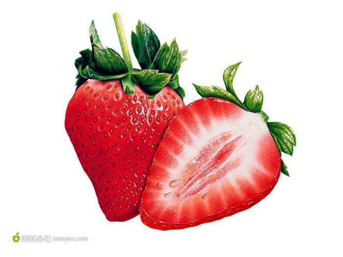 草莓企业-值得信赖正品保障