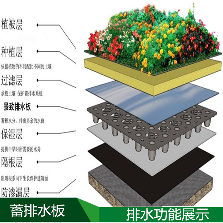 乌兰察布定做高2.5公分凹凸型排水板--屋顶绿化排水板有厂家吗
