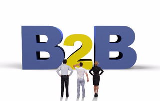 使用方法[马云]B2B信息发布群发软件系统