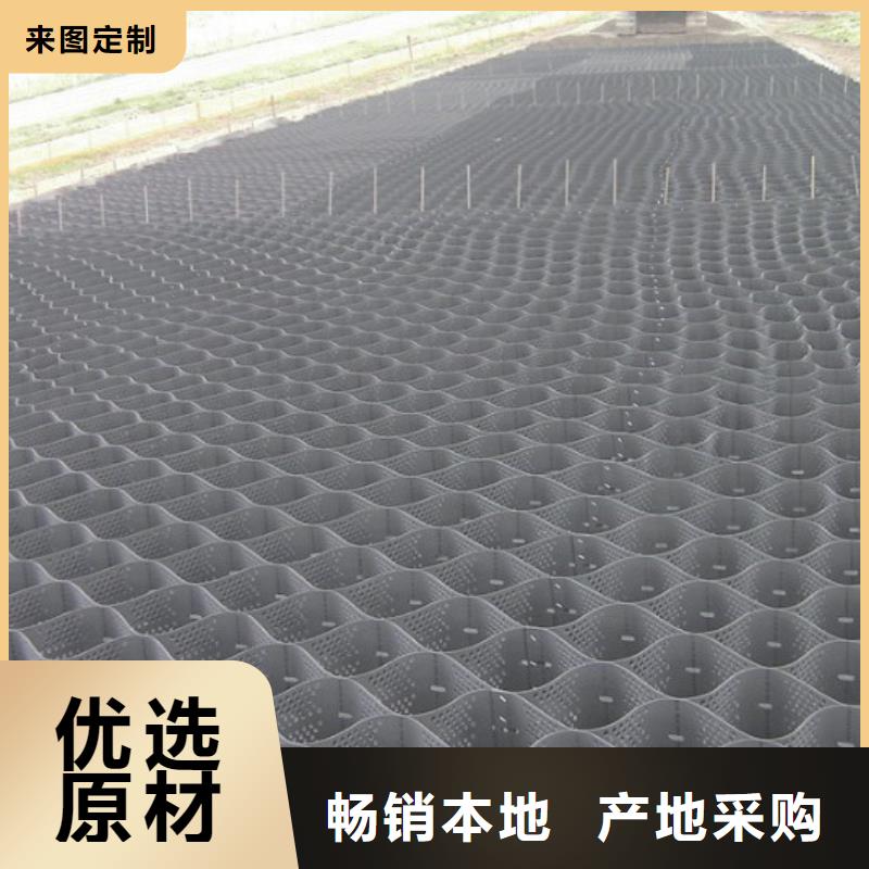 源头工厂量大优惠(东锴)土工格室100-600固土绿化