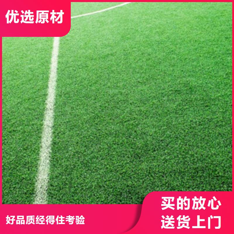 【舒展】人工草坪颜色-舒展体育设施有限公司