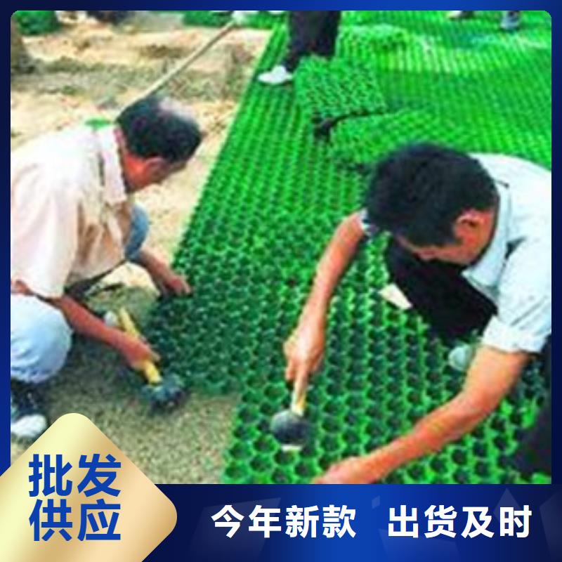 湖南选购《富泰》人行道绿化塑料植草格规格