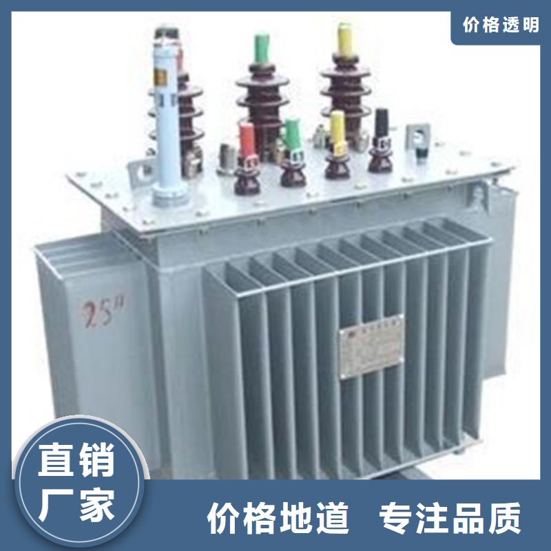 10KVAS11/S13油浸式电力变压器专业生产厂家