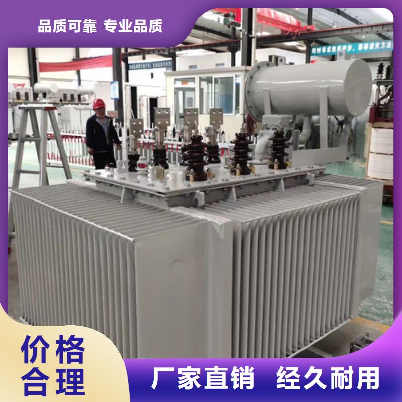 广州10KVAS11油浸式电力变压器专业生产厂家
