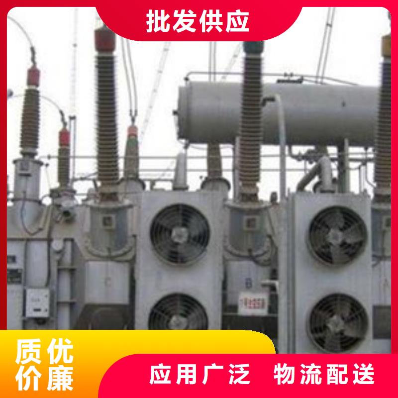 宿迁10KVAS11油浸式电力变压器专业生产厂家