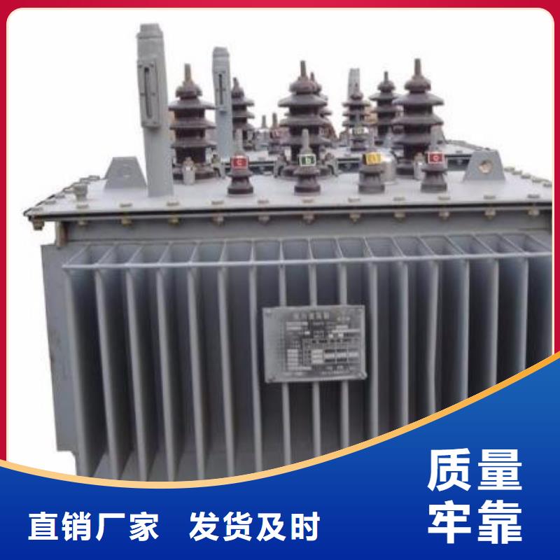 广州10KVAS11/S13油浸式电力变压器专业生产厂家