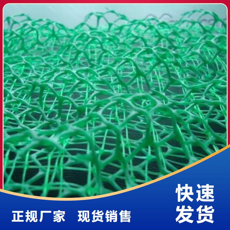 【三维土工网垫】三维植被网生产厂家在哪