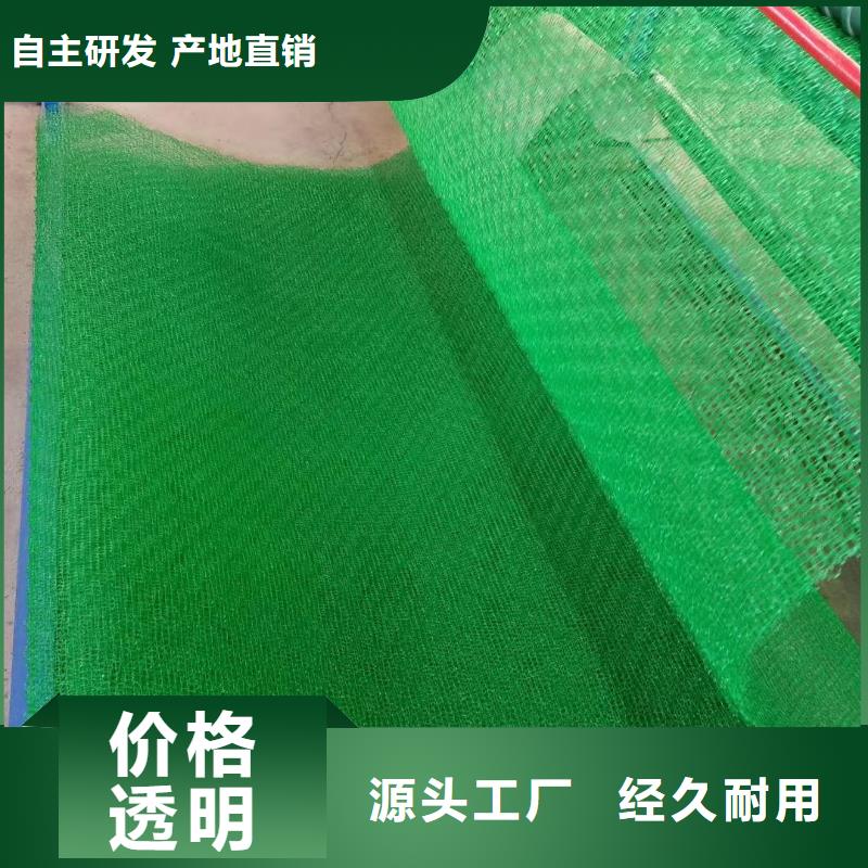 采购【大广】三维植被网-三维土工网垫—实业集团