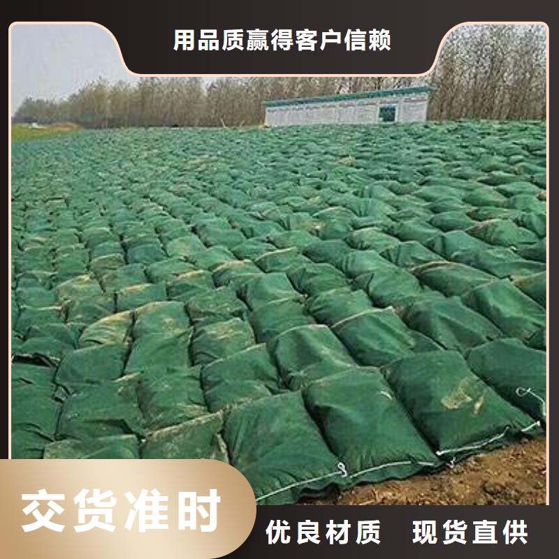 《大广》:生态袋-商品批发价格实体厂家-